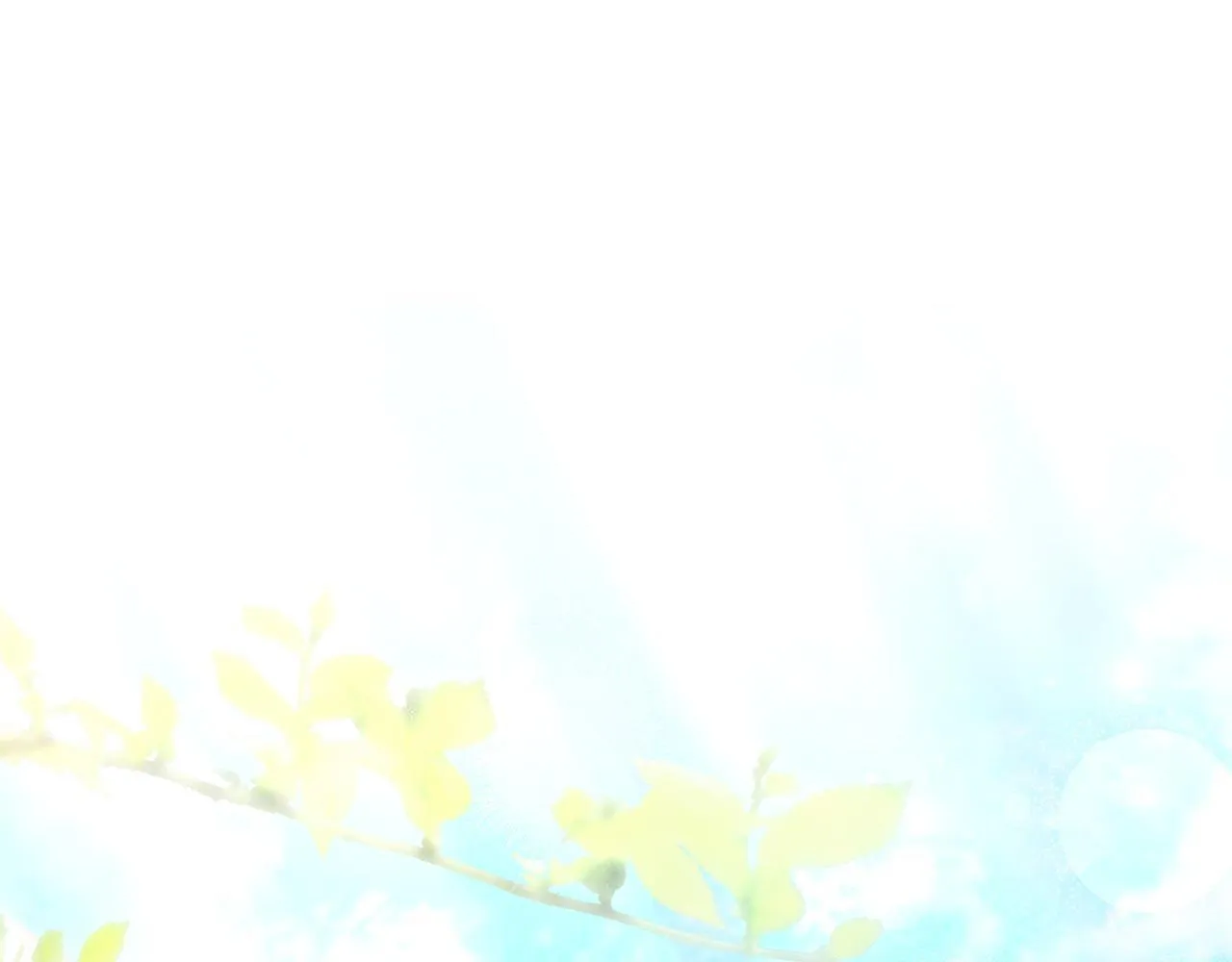 第53话 一定要幸福87