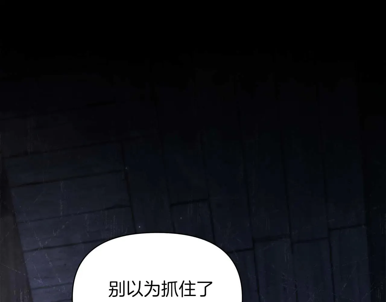 第62话 被掳走的公女218