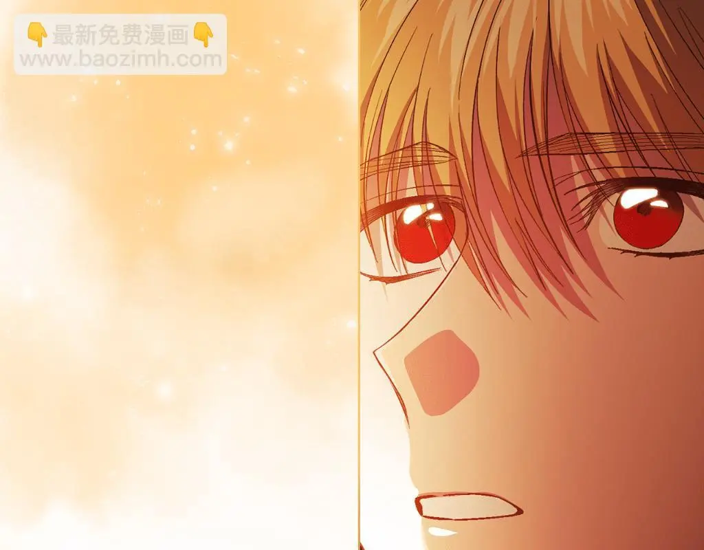 第44话 确认心意221