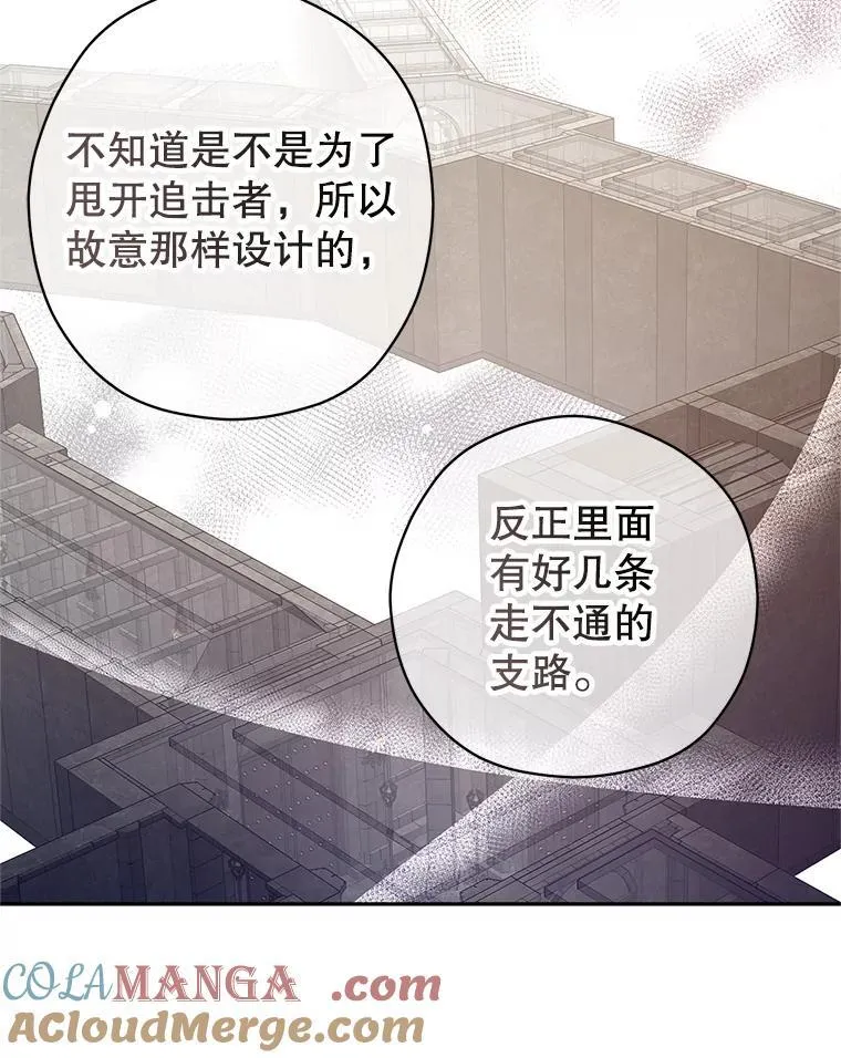 101.提出合作36