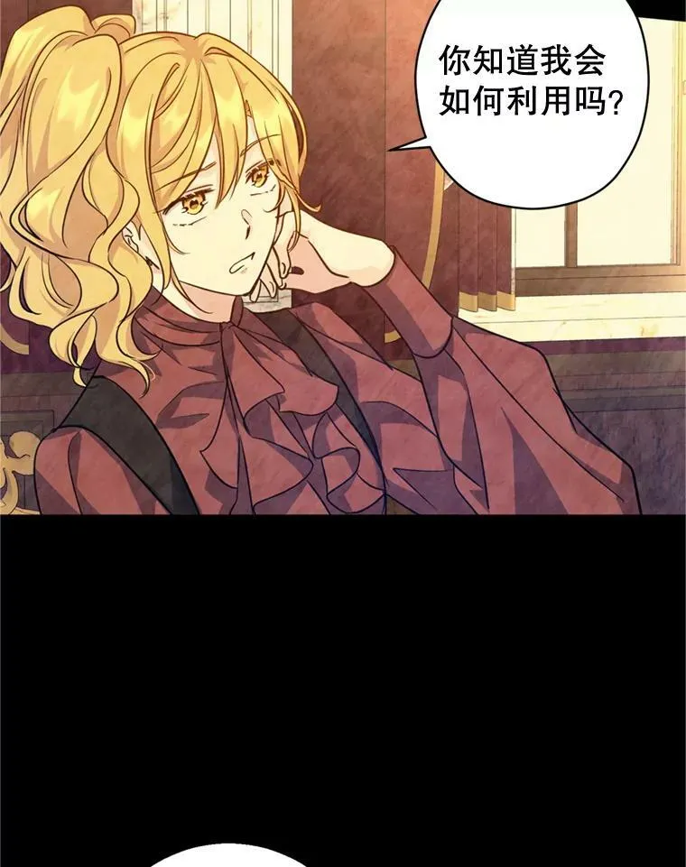 67.吕迪格的计划13
