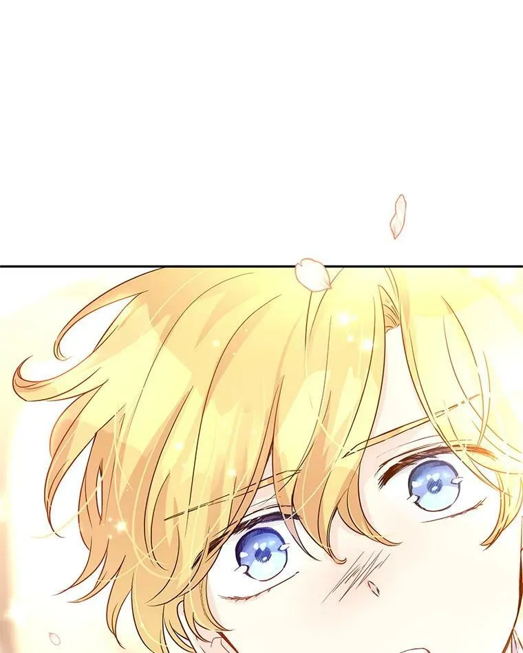 29.愿望95