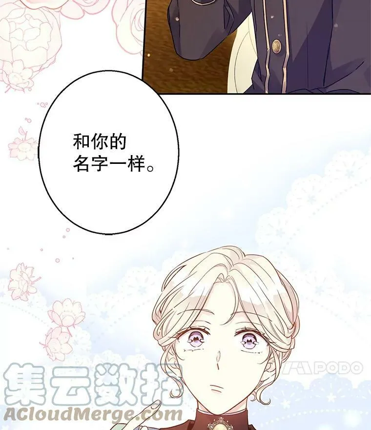 41.打牌27