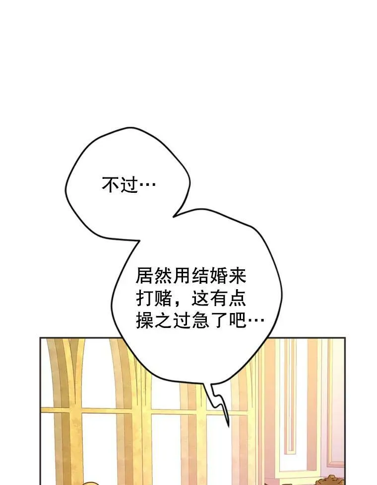 67.吕迪格的计划46