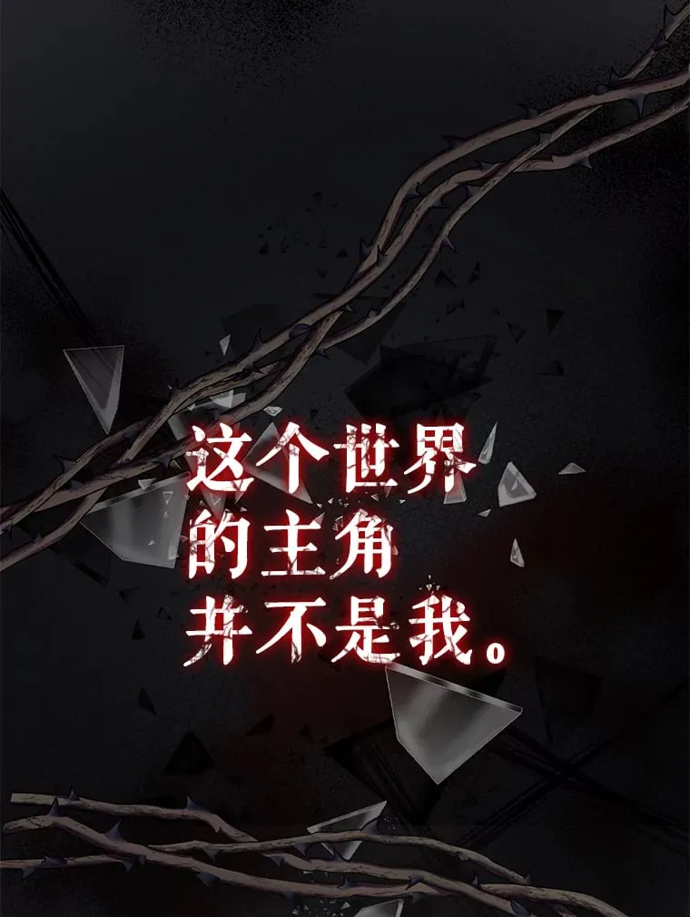 新作来袭2