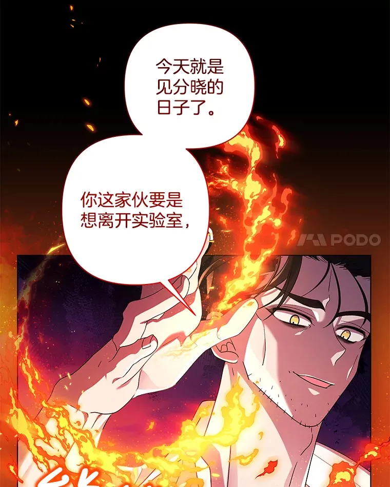 35.第三条路17