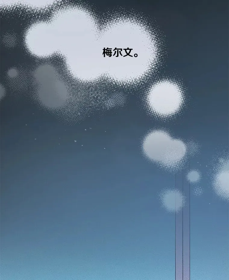 17.阳光明媚81