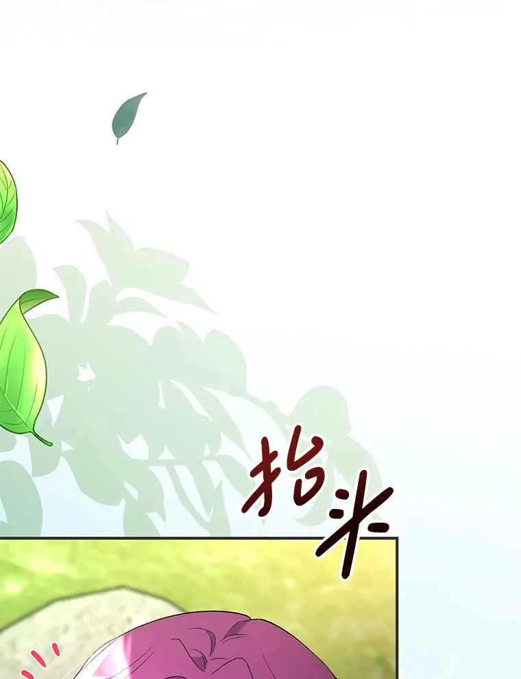 8.花又复明41