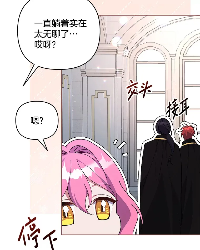 15.白花落地52