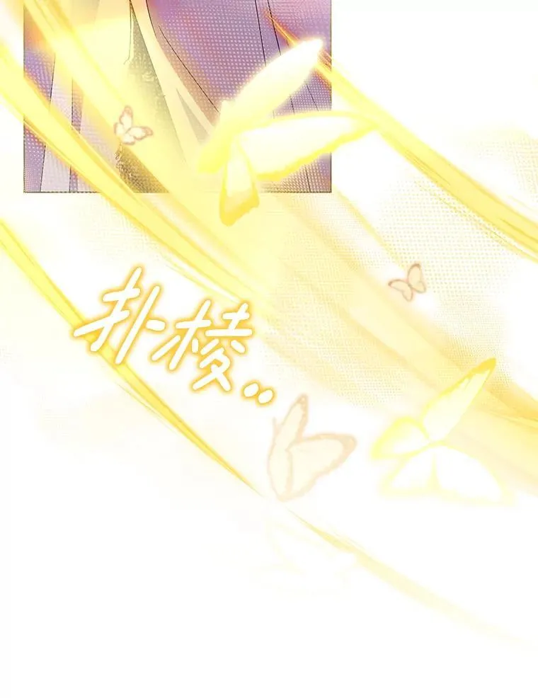 40.失窃之命33