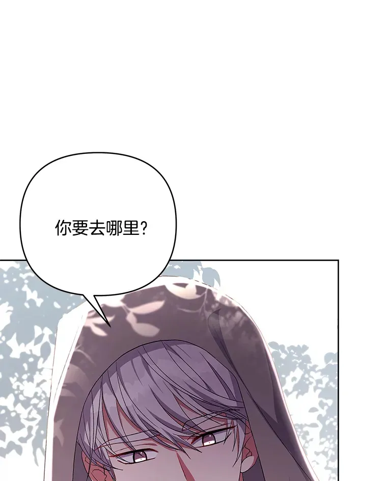 17.阳光明媚29