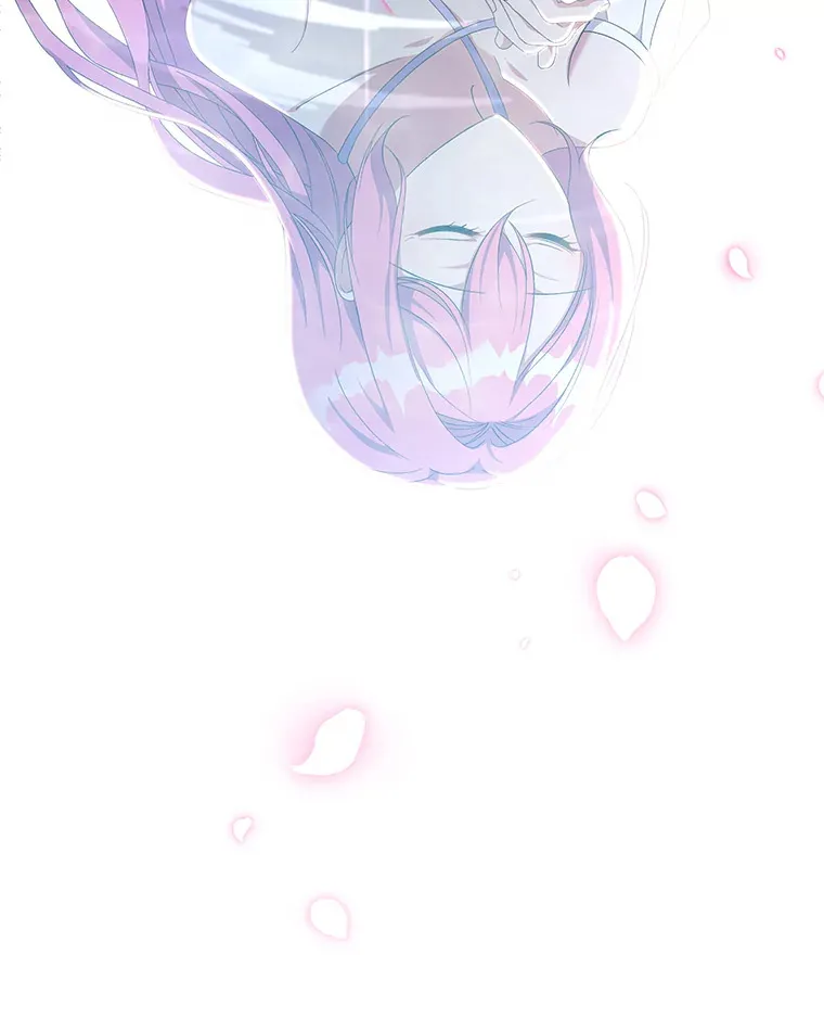 15.白花落地49