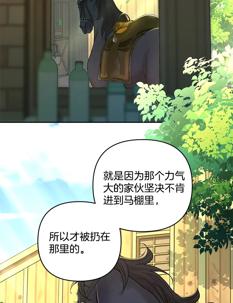 28.身临异物14