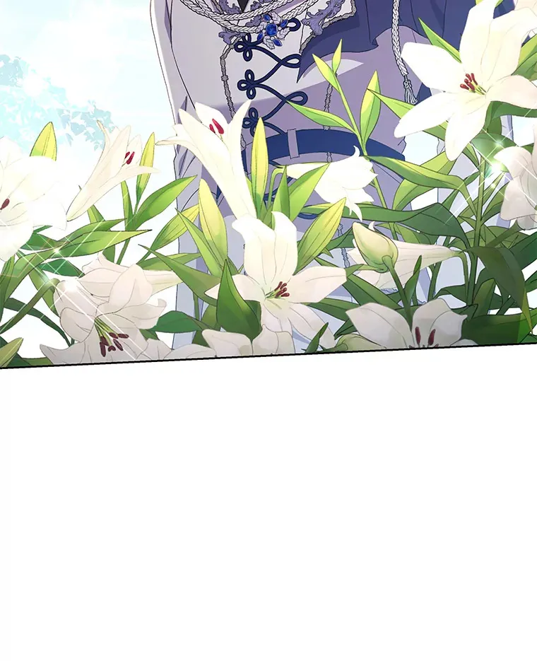 17.阳光明媚102