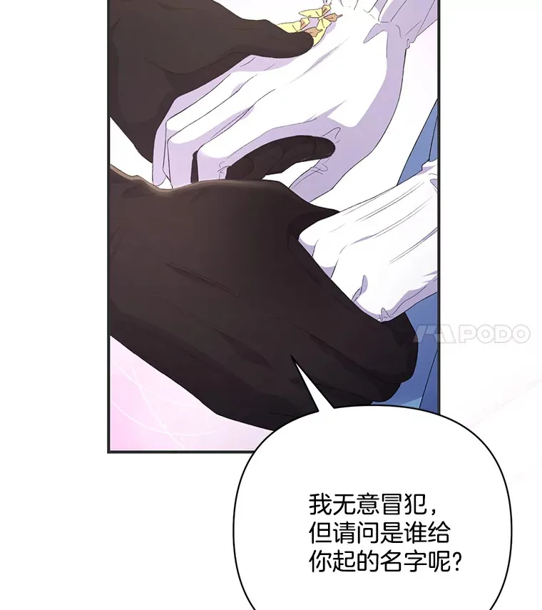 8.花又复明73