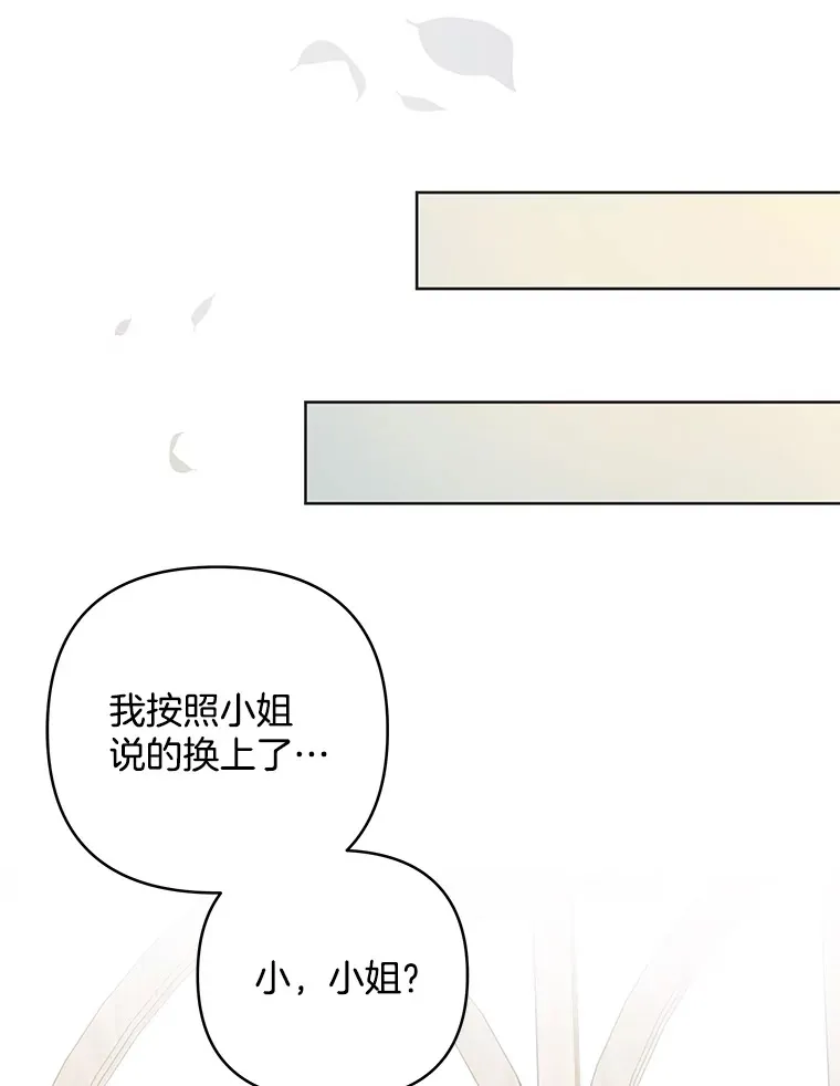 17.阳光明媚40