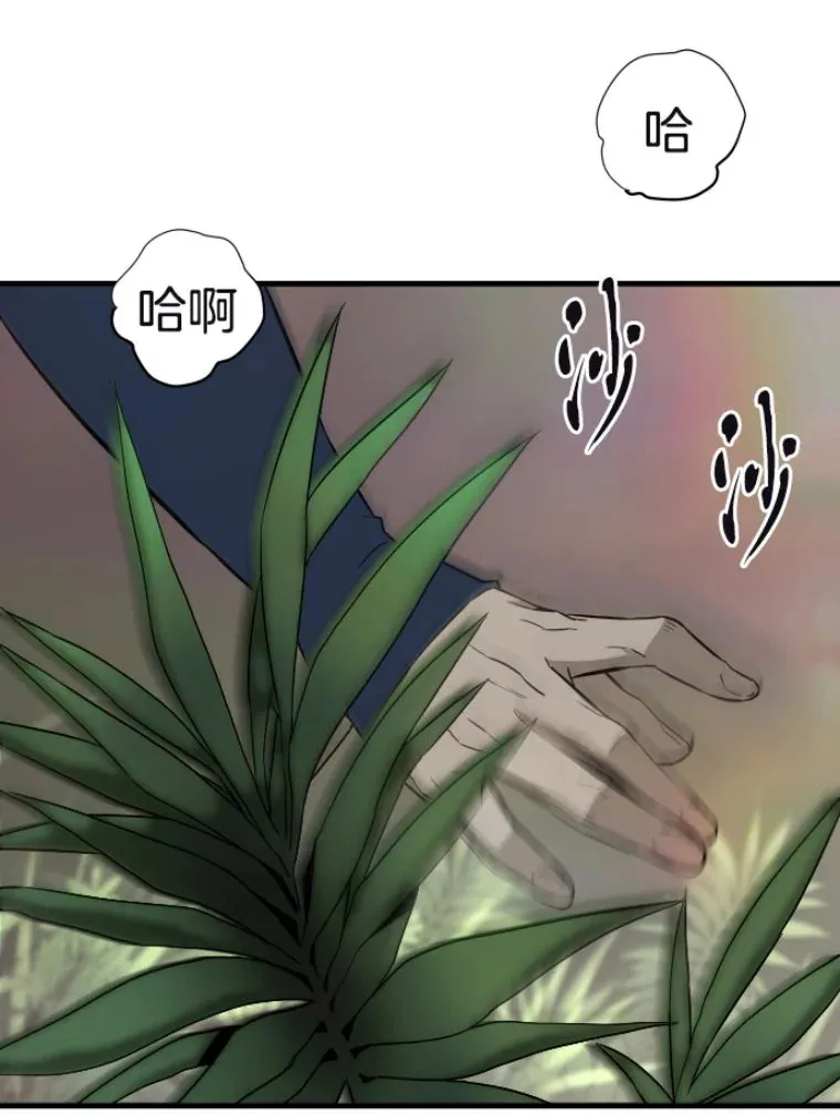 29.沼泽地带95