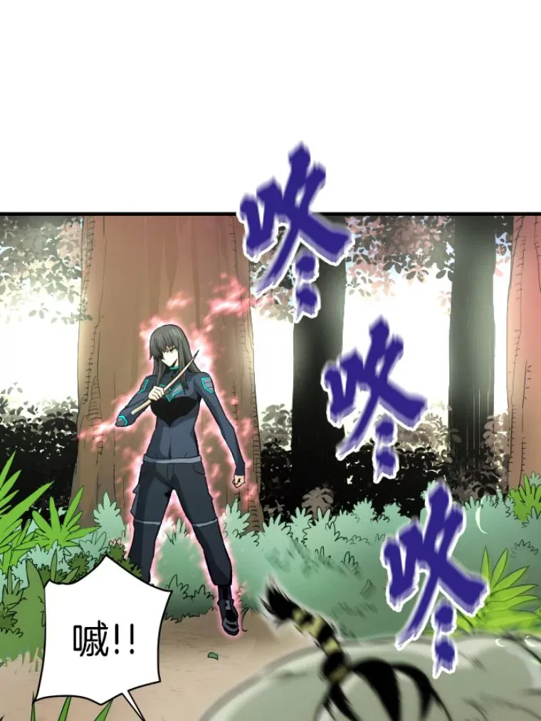 30.一网打尽79