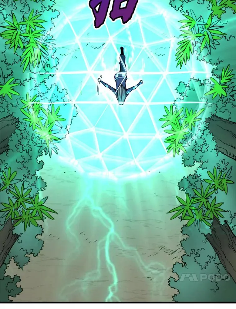 30.一网打尽67