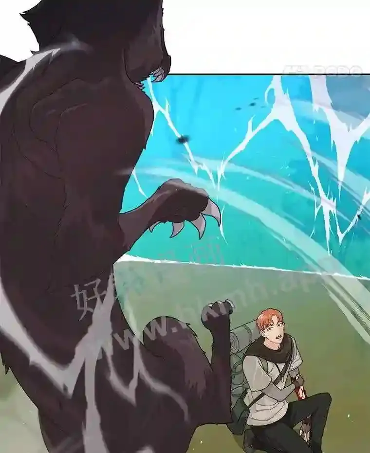 1.斗犬场113