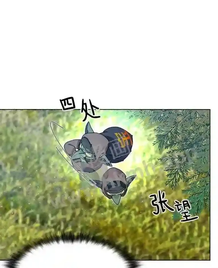 9.诱饵115