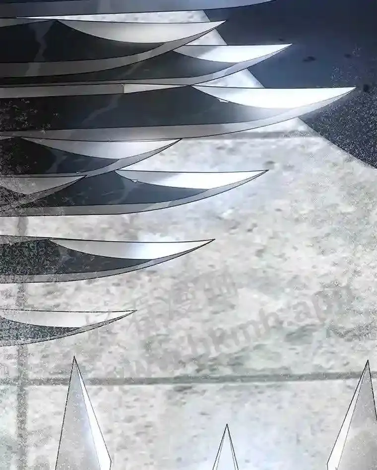 4.天分5