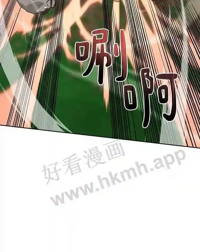17.唤夜之狼45