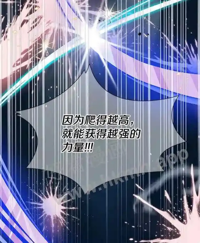 1.斗犬场20