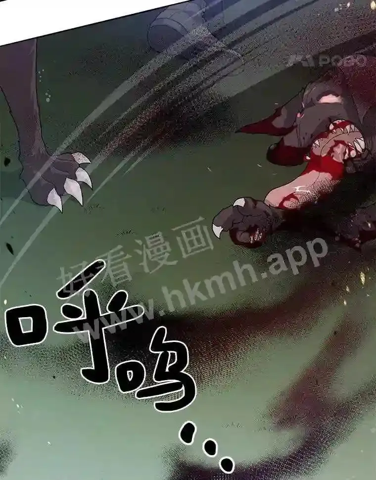 1.斗犬场164