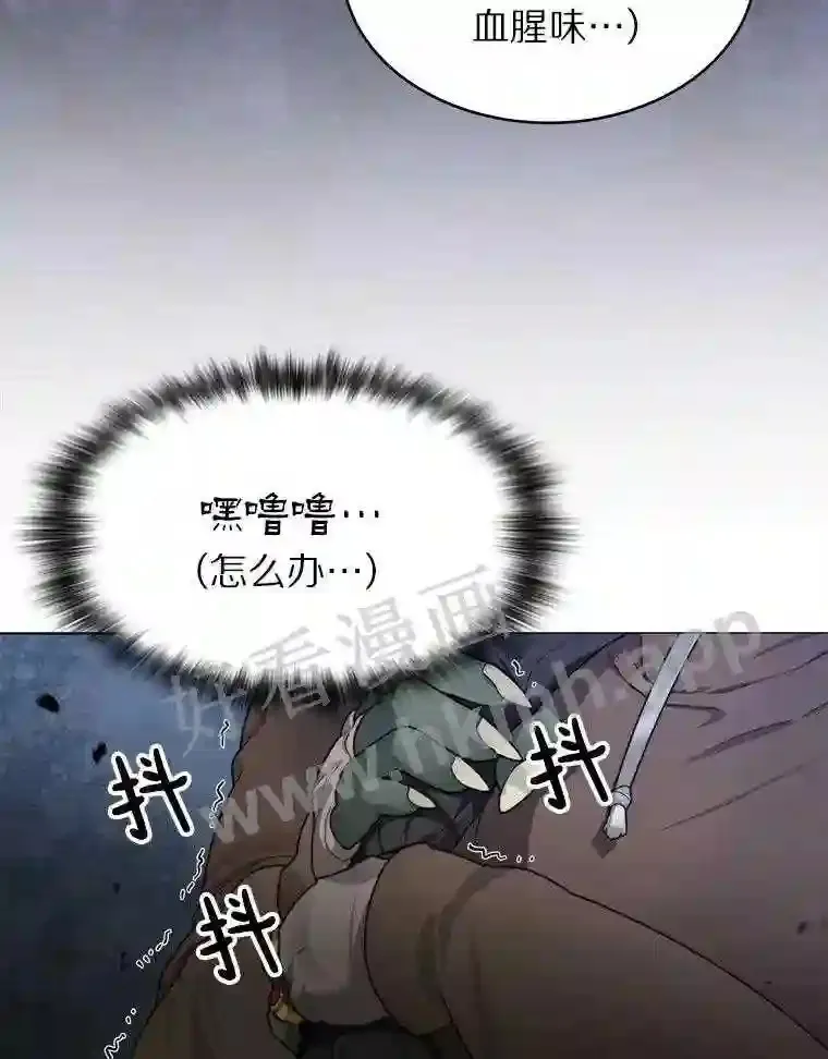 9.诱饵112