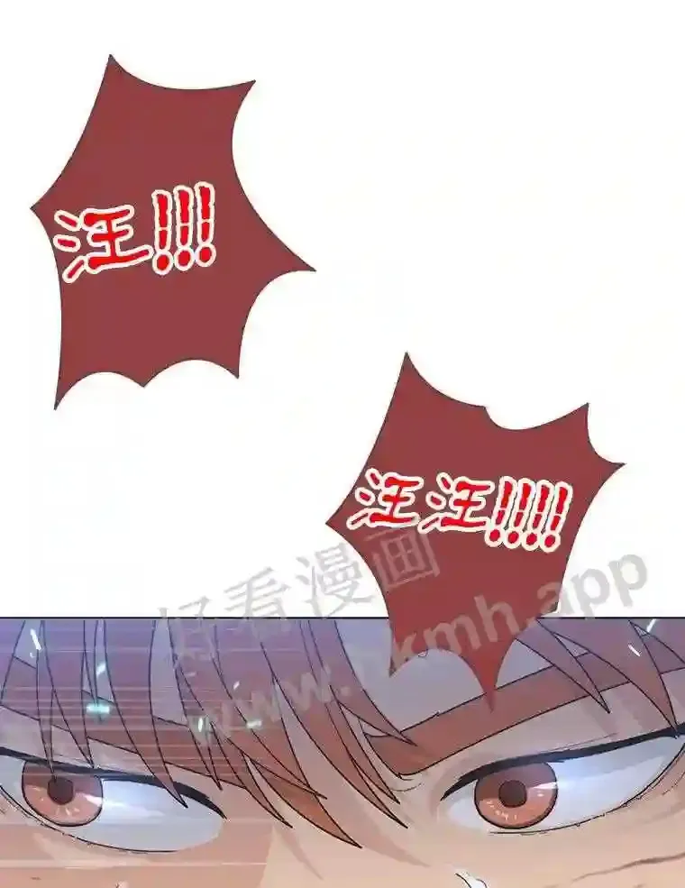 1.斗犬场149