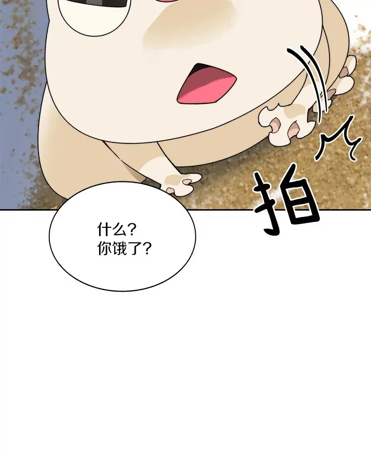 51.天价套餐75
