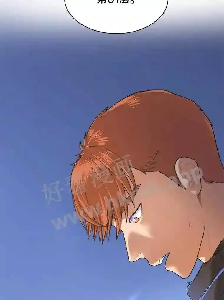 1.斗犬场45