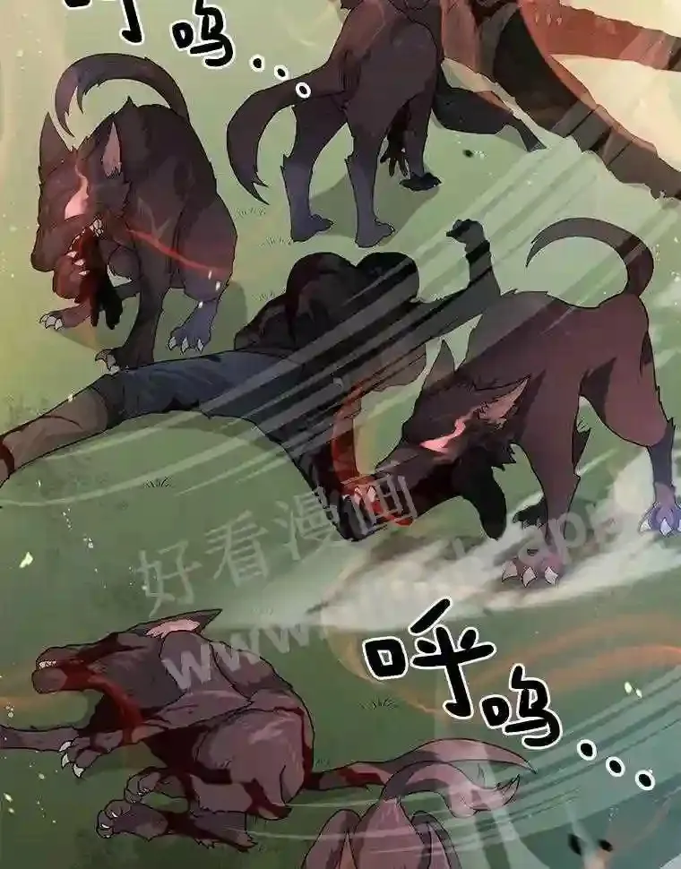 1.斗犬场161