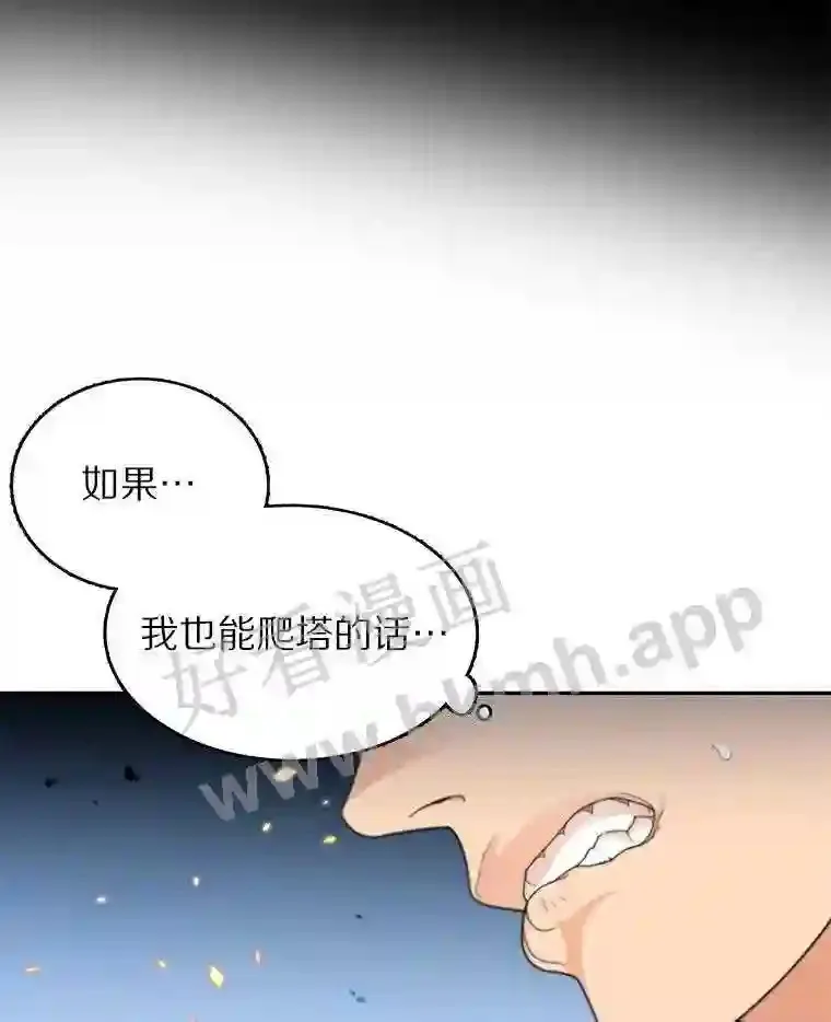 1.斗犬场56