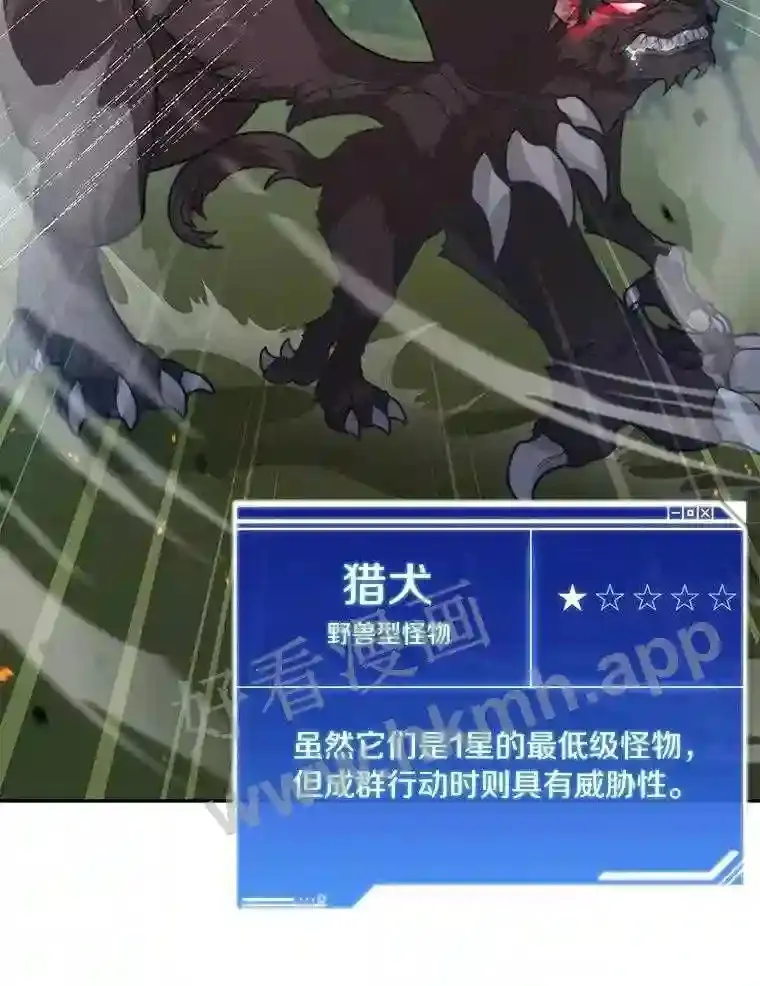 1.斗犬场91