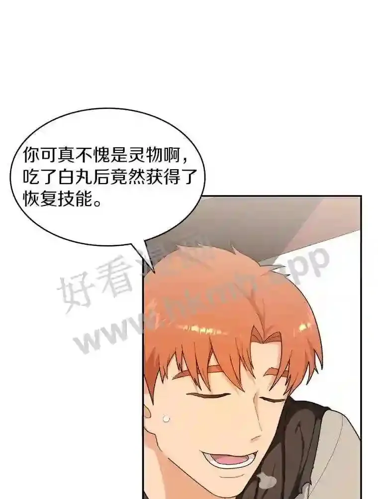 6.白丸的秘密53