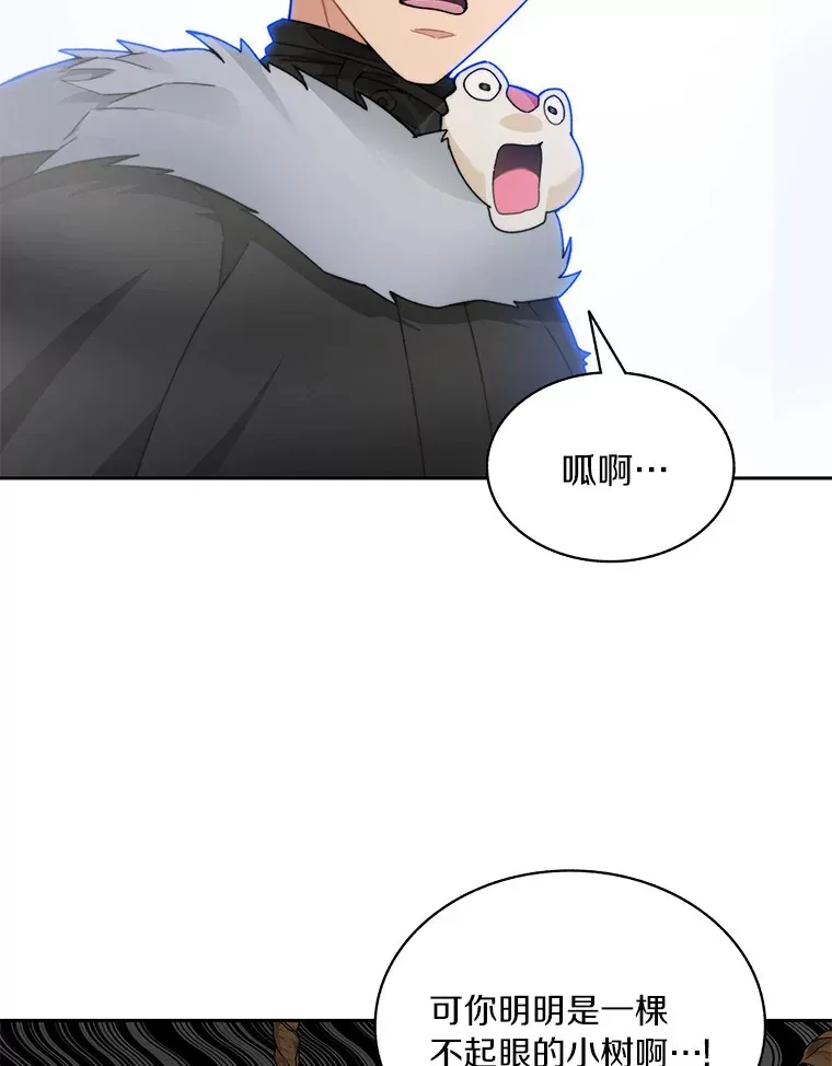58.雪精灵女王116