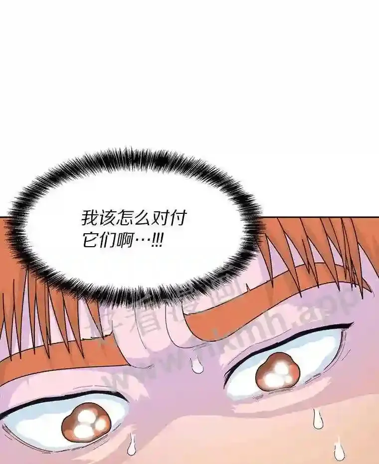 1.斗犬场111