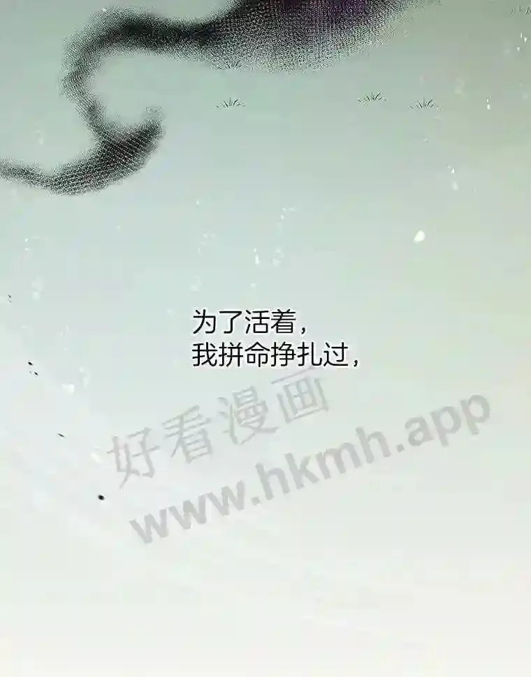 1.斗犬场165