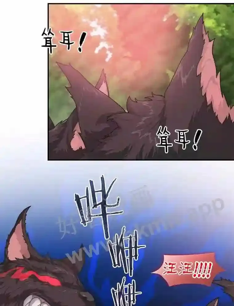 1.斗犬场129