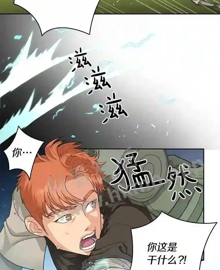 1.斗犬场83