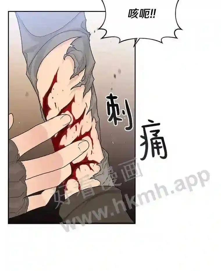 1.斗犬场110