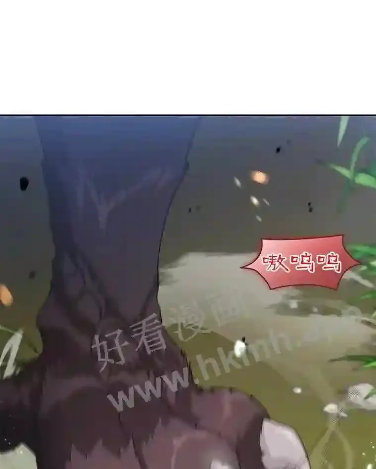 1.斗犬场104
