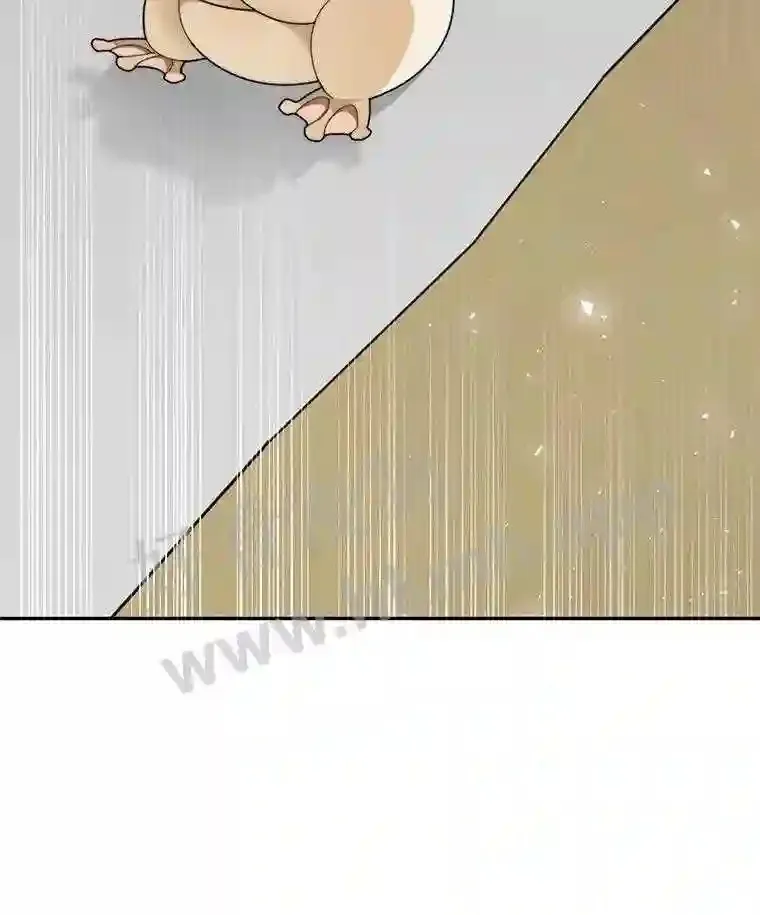 6.白丸的秘密156