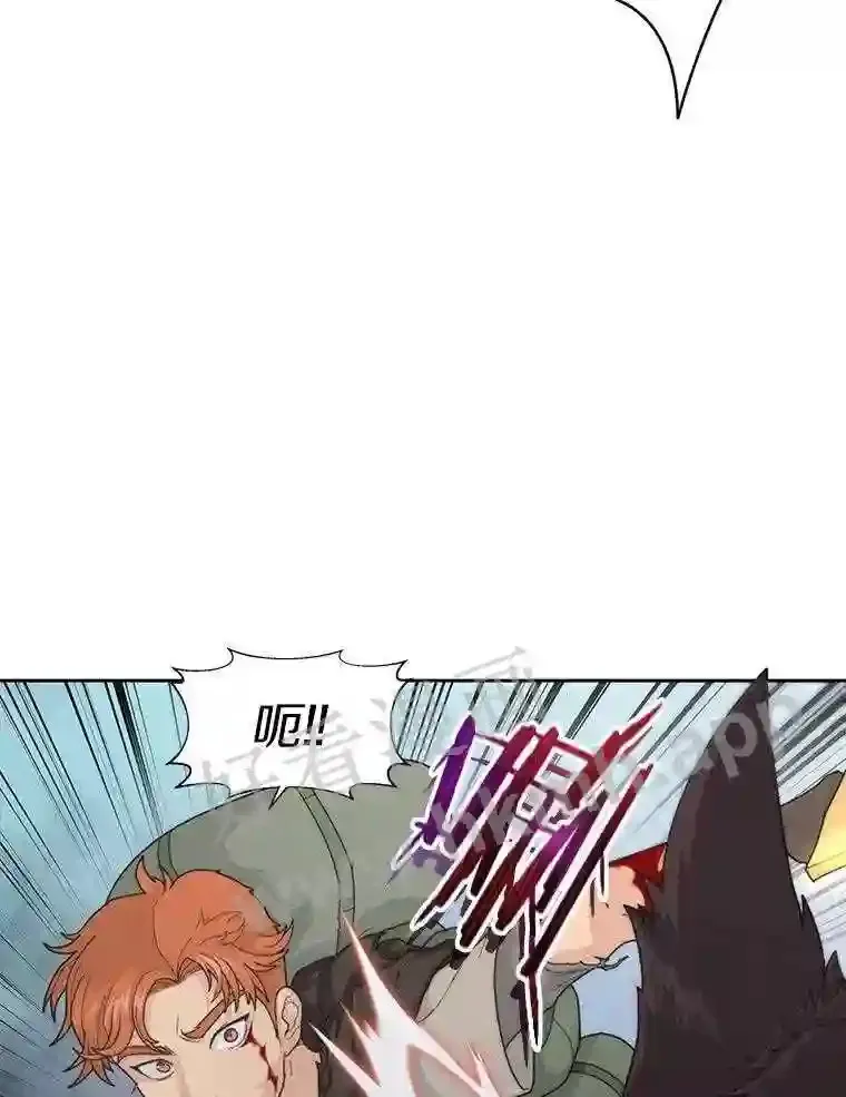1.斗犬场152