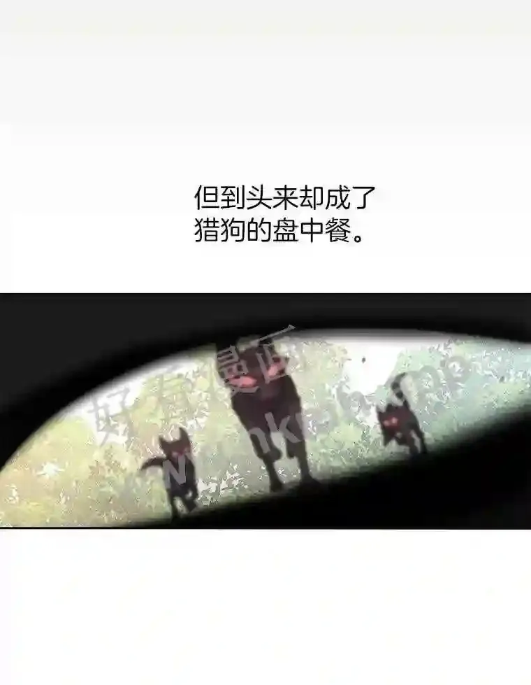 1.斗犬场166