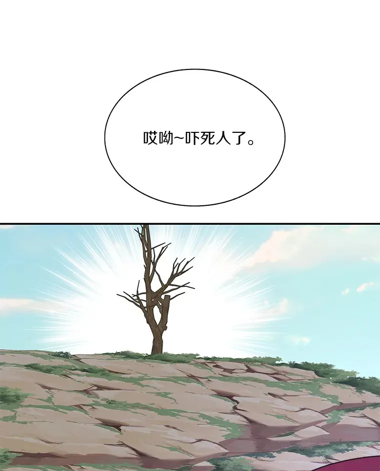 66.伙伴81