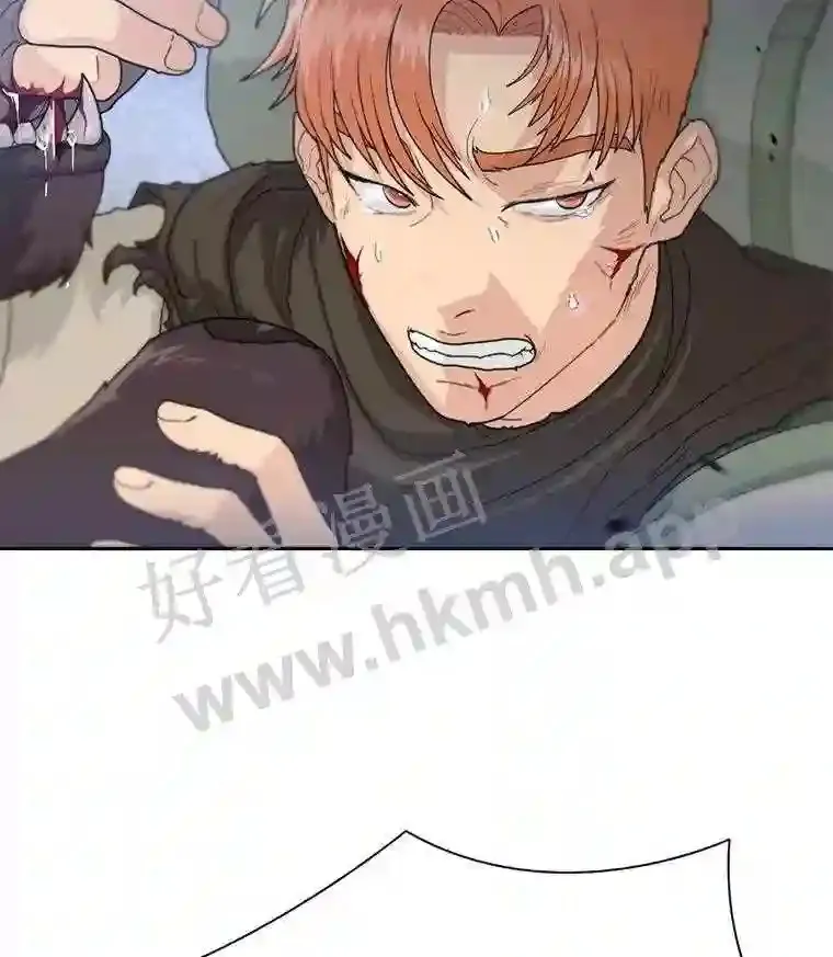 1.斗犬场117