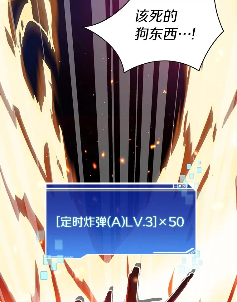 73.烟花秀118